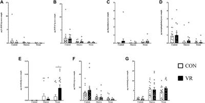 Exposure to a Virtual Environment Induces Biological and Microbiota Changes in Onset-of-Lay Hens